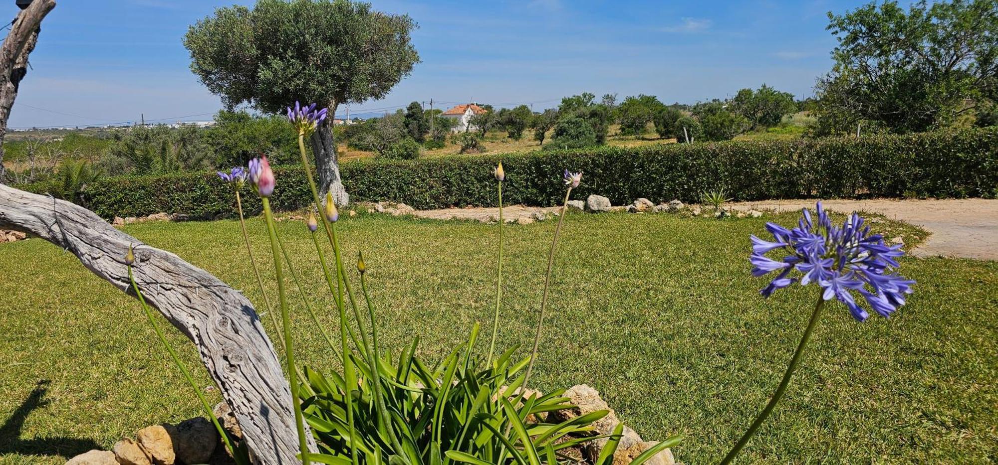 Quinta Do Lagar Villa Албуфейра Екстериор снимка